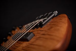 Strandberg Boden Bass Prog 5 Brown 2021