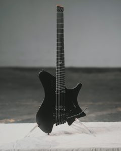 Strandberg Sälen NX 6 Tremolo Plini Edition Black