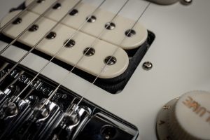 Strandberg Boden Classic NX 6 Tremolo Black Rosewood