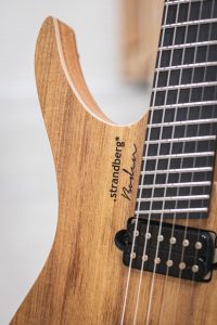 Strandberg Boden Prog NX 6 Plini Edition